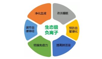 東鵬空氣凈化磚第三方測評(píng) 真能改善室內(nèi)環(huán)境與市容嗎？